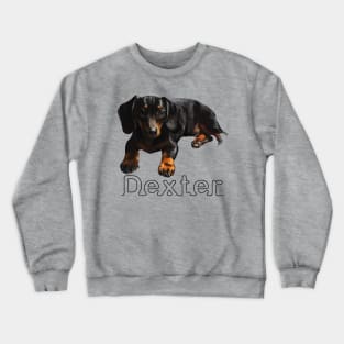 Dexter Boy Crewneck Sweatshirt